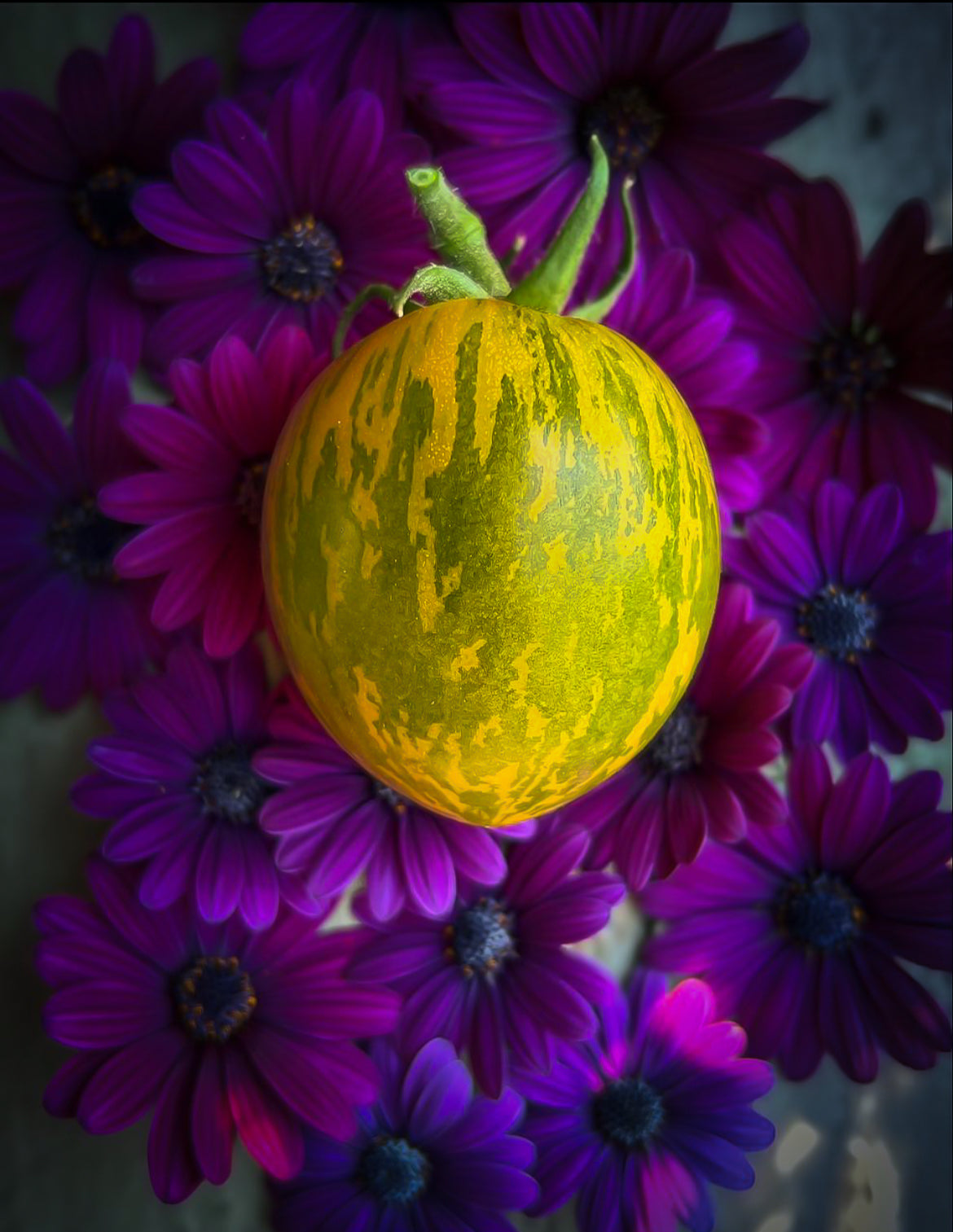 Green Zebra tomato