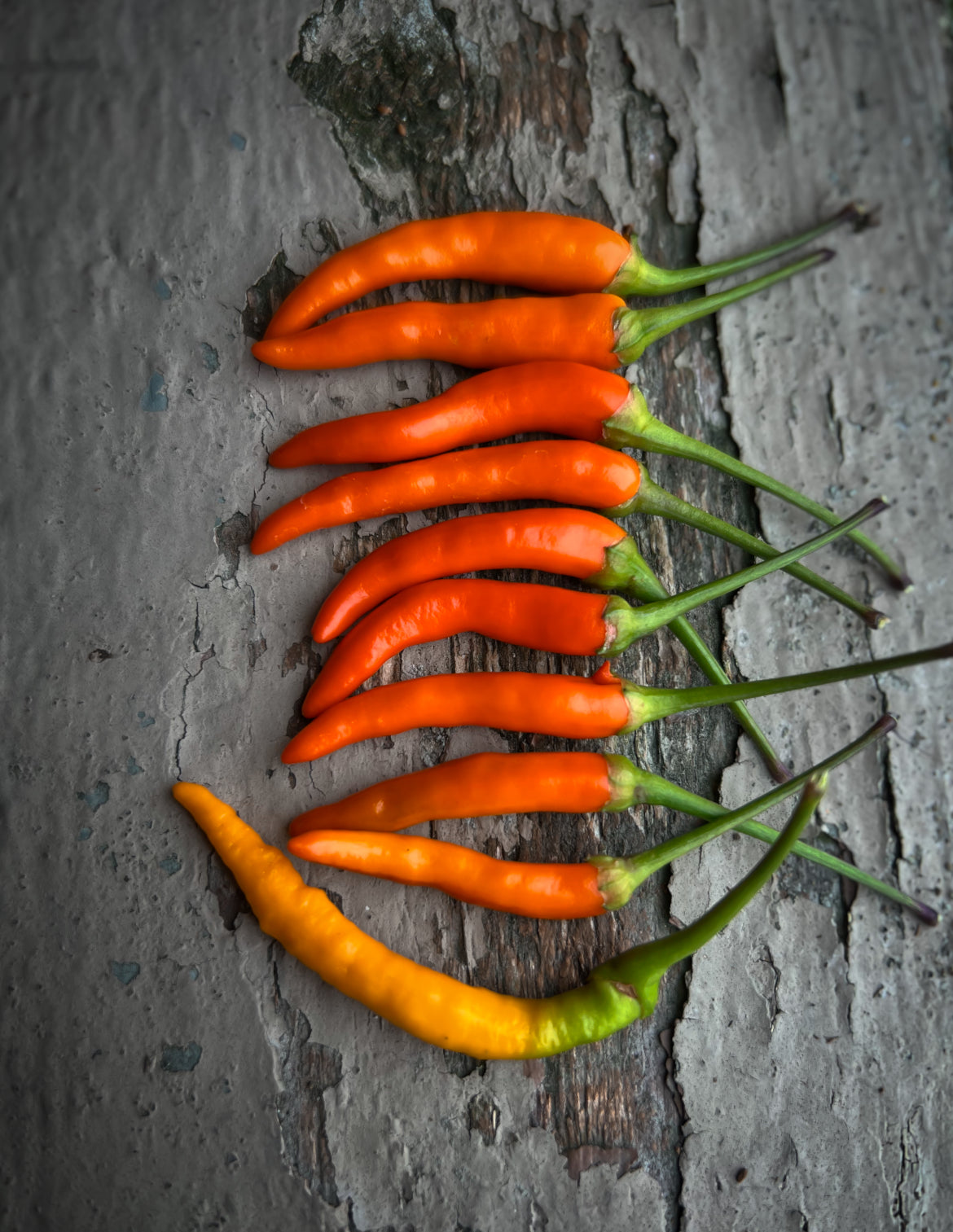 Orange Thai