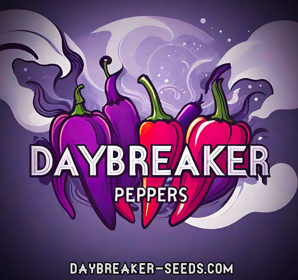 Daybreaker-seeds